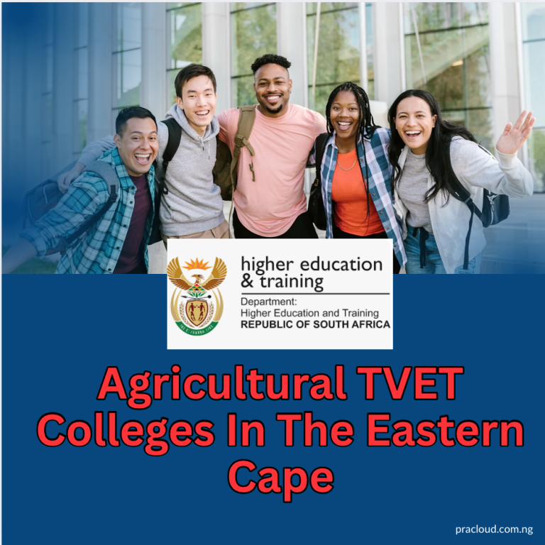 Agricultural TVET Colleges In The Eastern Cape