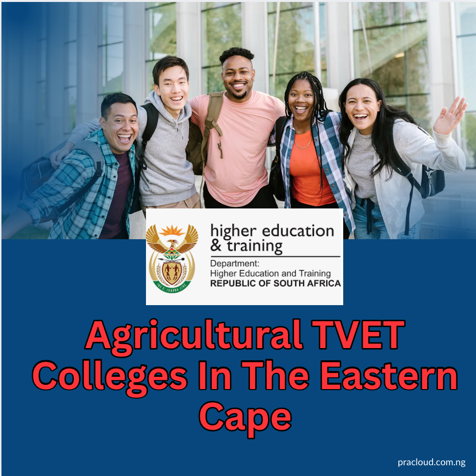 Agricultural TVET Colleges In The Eastern Cape