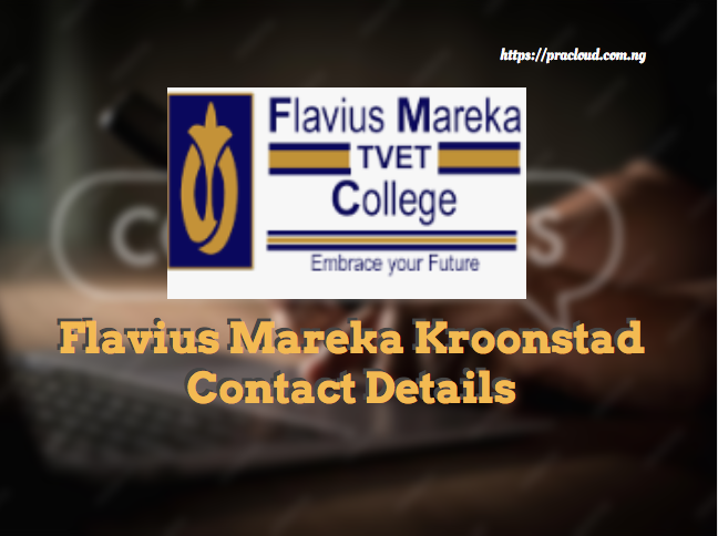 Flavius Mareka Kroonstad Contact Details