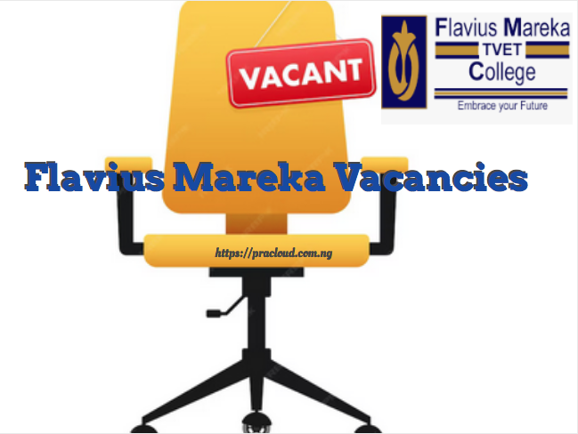 Flavius Mareka Vacancies