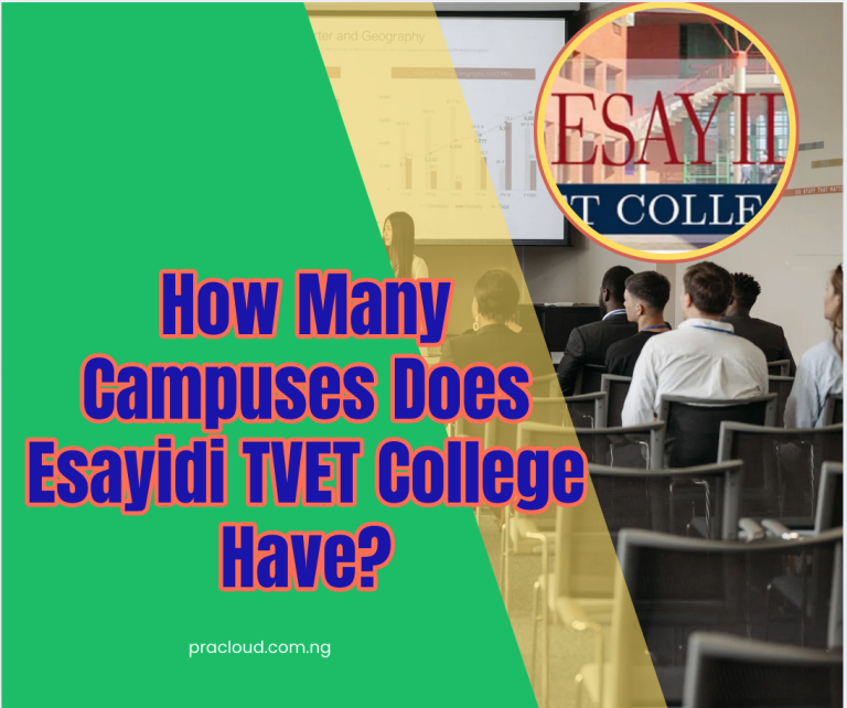 How Many Campuses Does Esayidi TVET College Have?