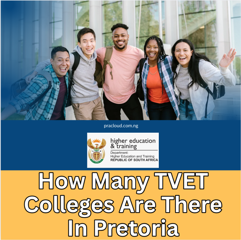 How Many TVET Colleges Are There In Pretoria