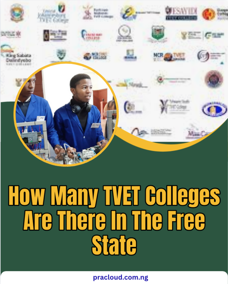 How Many TVET Colleges Are There In The Free State