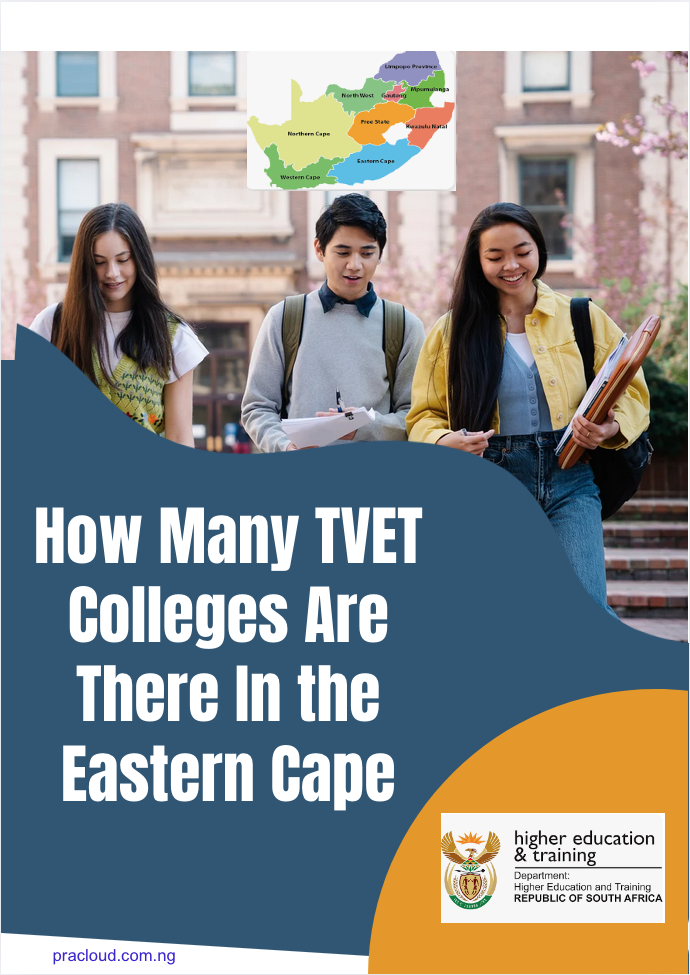 How Many TVET Colleges Are There In the Eastern Cape