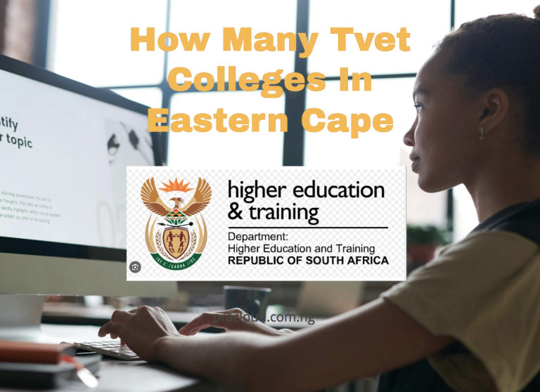 How Many Tvet Colleges In Eastern Cape