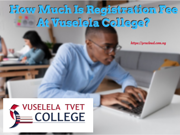How Much Is Registration Fee At Vuselela College?