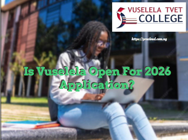 Is Vuselela Open For 2026 Application?