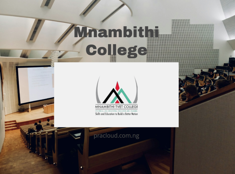 Mnambithi College