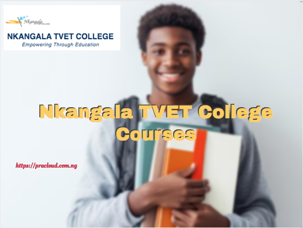 Nkangala TVET College Courses