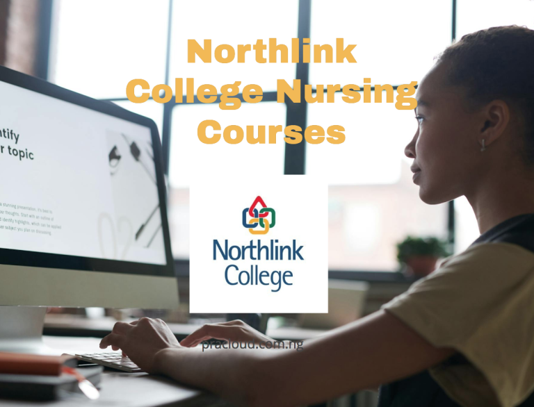 Northlink College Nursing Courses