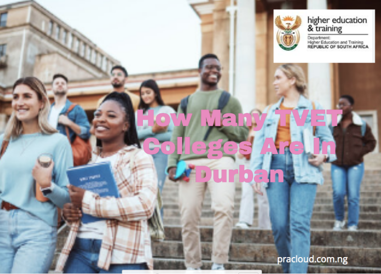 How Many TVET Colleges Are In Durban