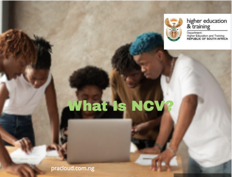 What Is NCV