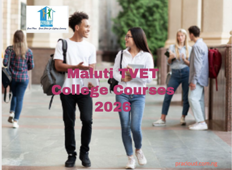 Maluti TVET College Courses 2026