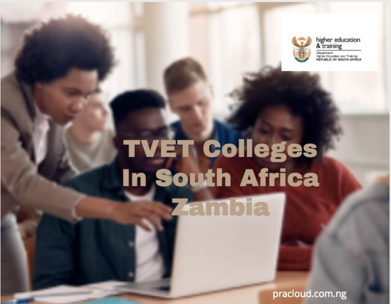TVET Colleges In South Africa Zambia