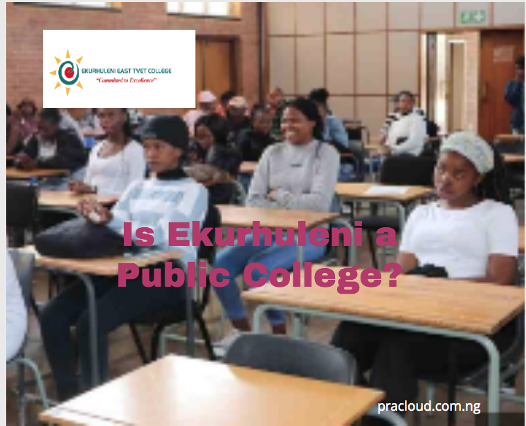 Is Ekurhuleni a Public College