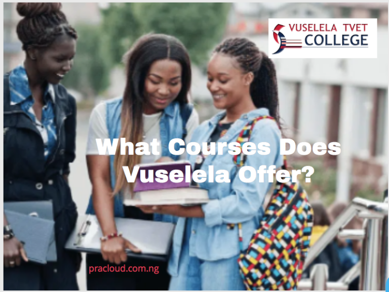What Courses Does Vuselela Offer