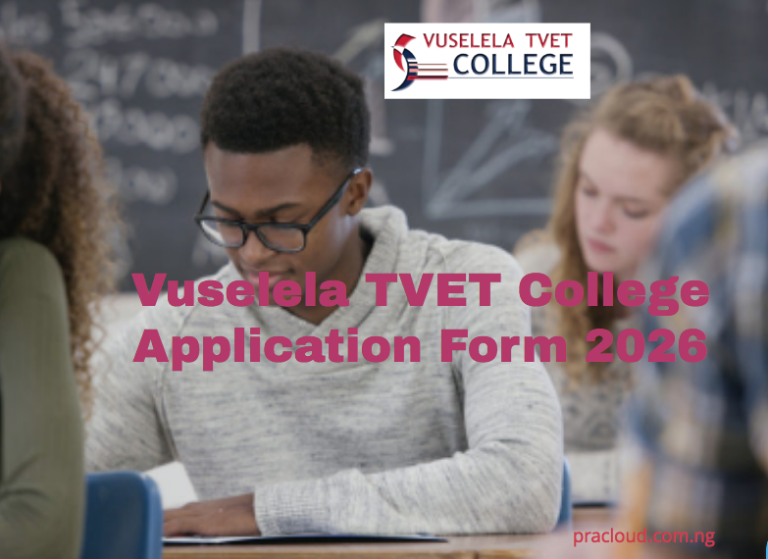 Vuselela TVET College Application Form 2026