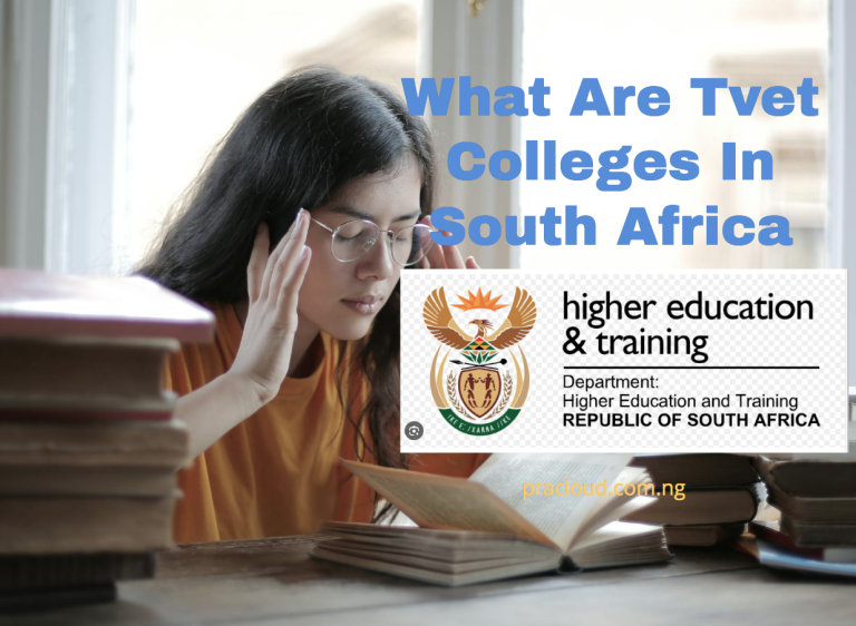 What Are Tvet Colleges In South Africa