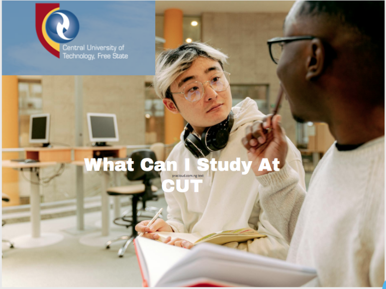 What Can I Study At CUT