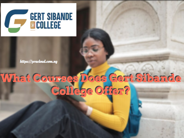 What Courses Does Gert Sibande College Offer?