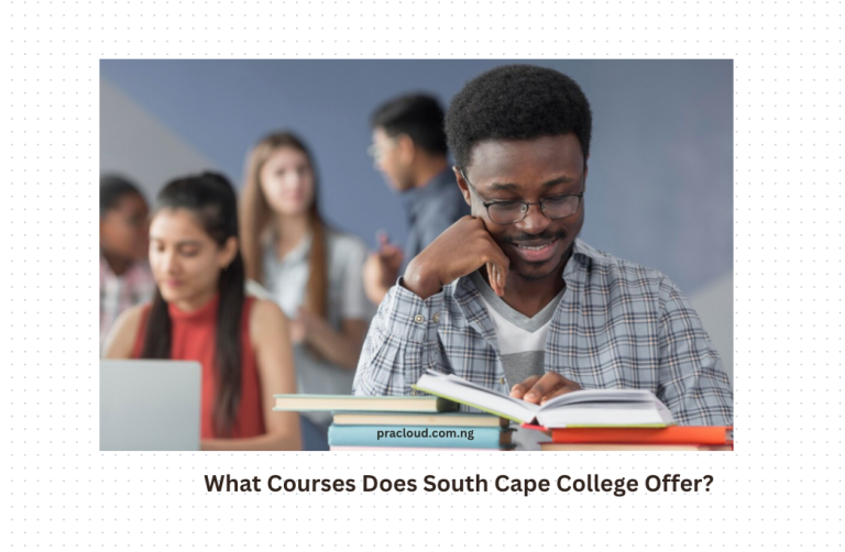 What Courses Does South Cape College Offer?