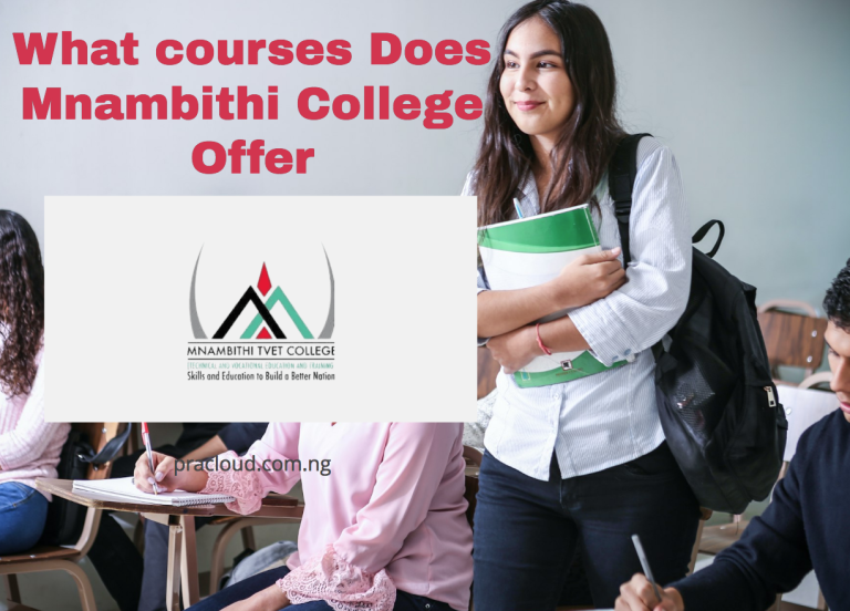 What courses Does Mnambithi College Offer