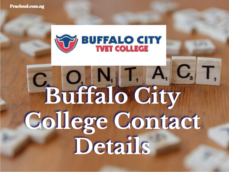 Buffalo City College Contact Details