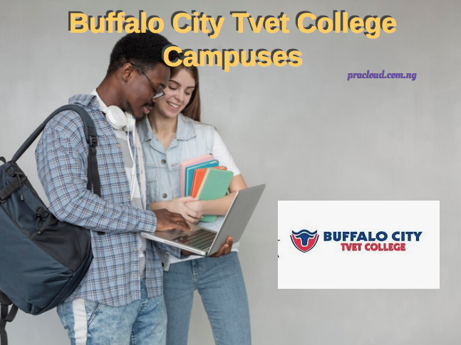Buffalo City Tvet College Campuses