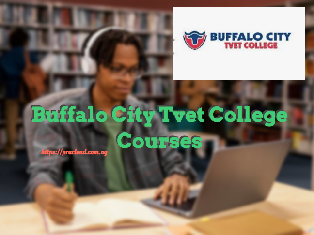 Buffalo City Tvet College Courses