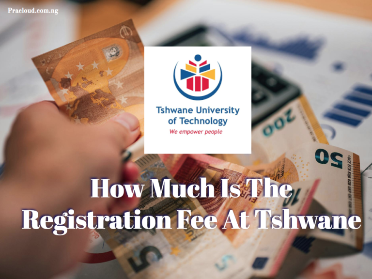 How Much Is The Registration Fee At Tshwane