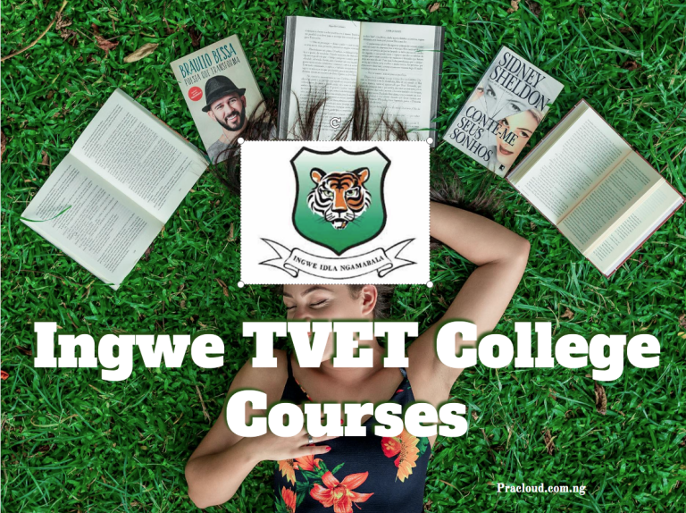 Ingwe TVET College Courses