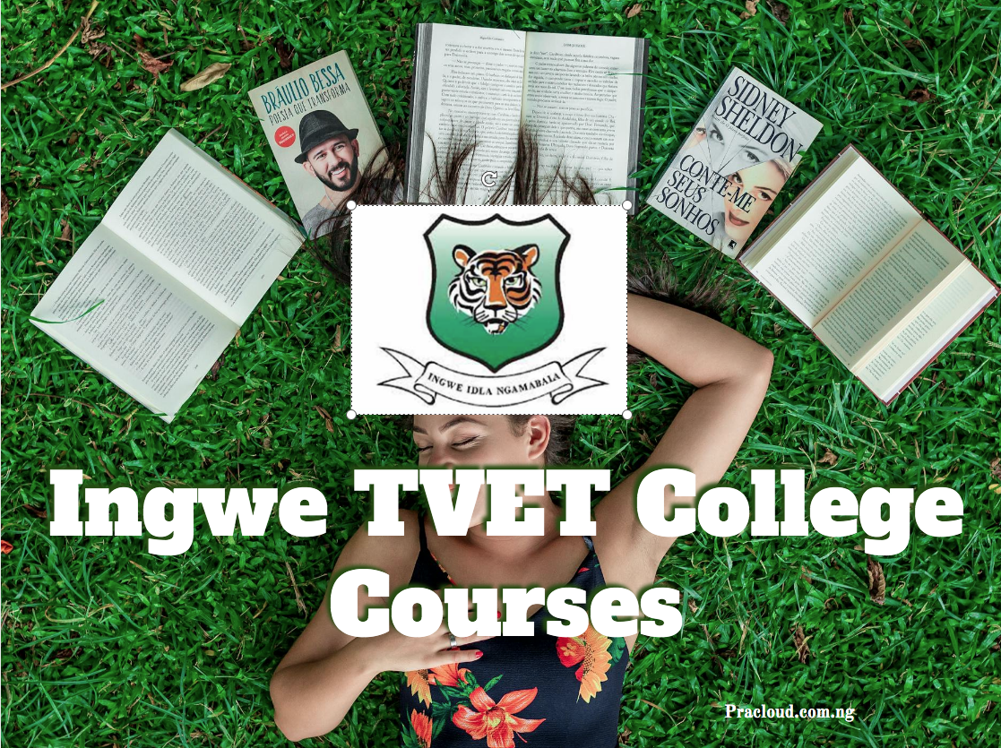Ingwe TVET College Courses