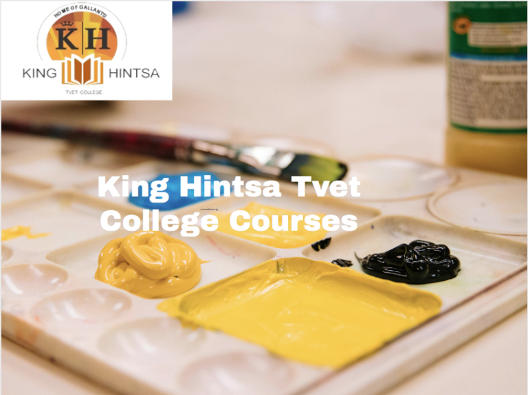 King Hintsa Tvet College Courses