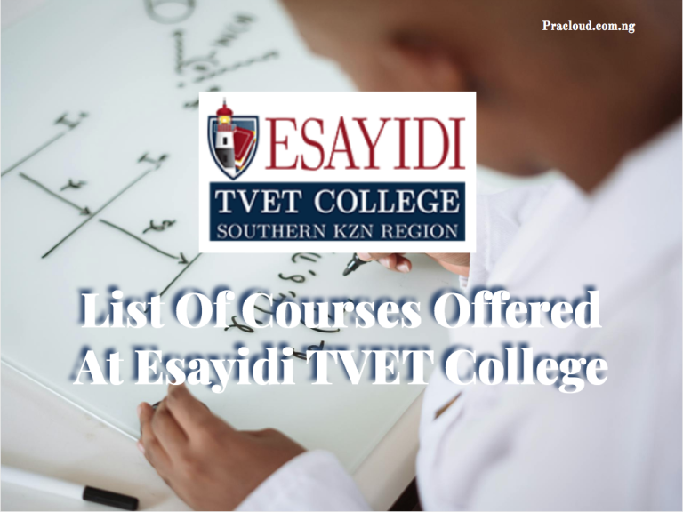 List Of Courses Offered At Esayidi TVET College