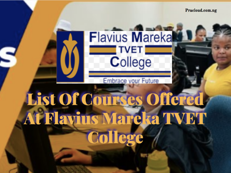List Of Courses Offered At Flavius Mareka TVET College