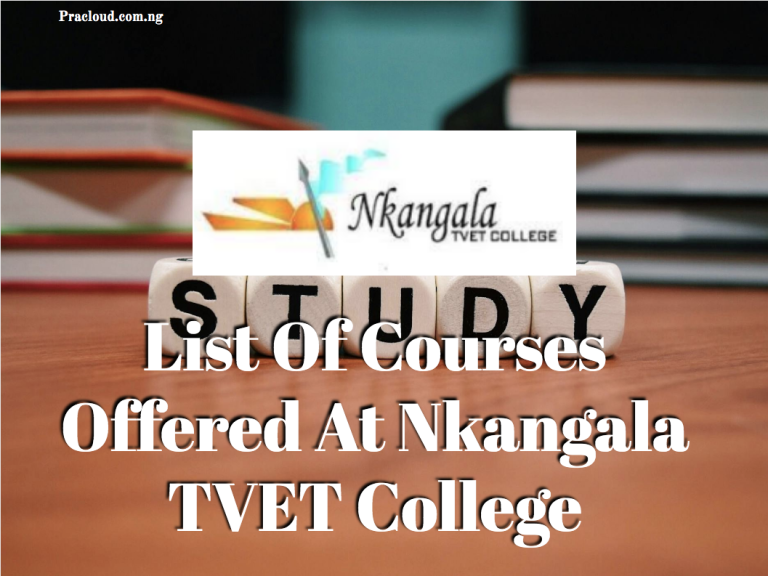 List Of Courses Offered At Nkangala TVET College