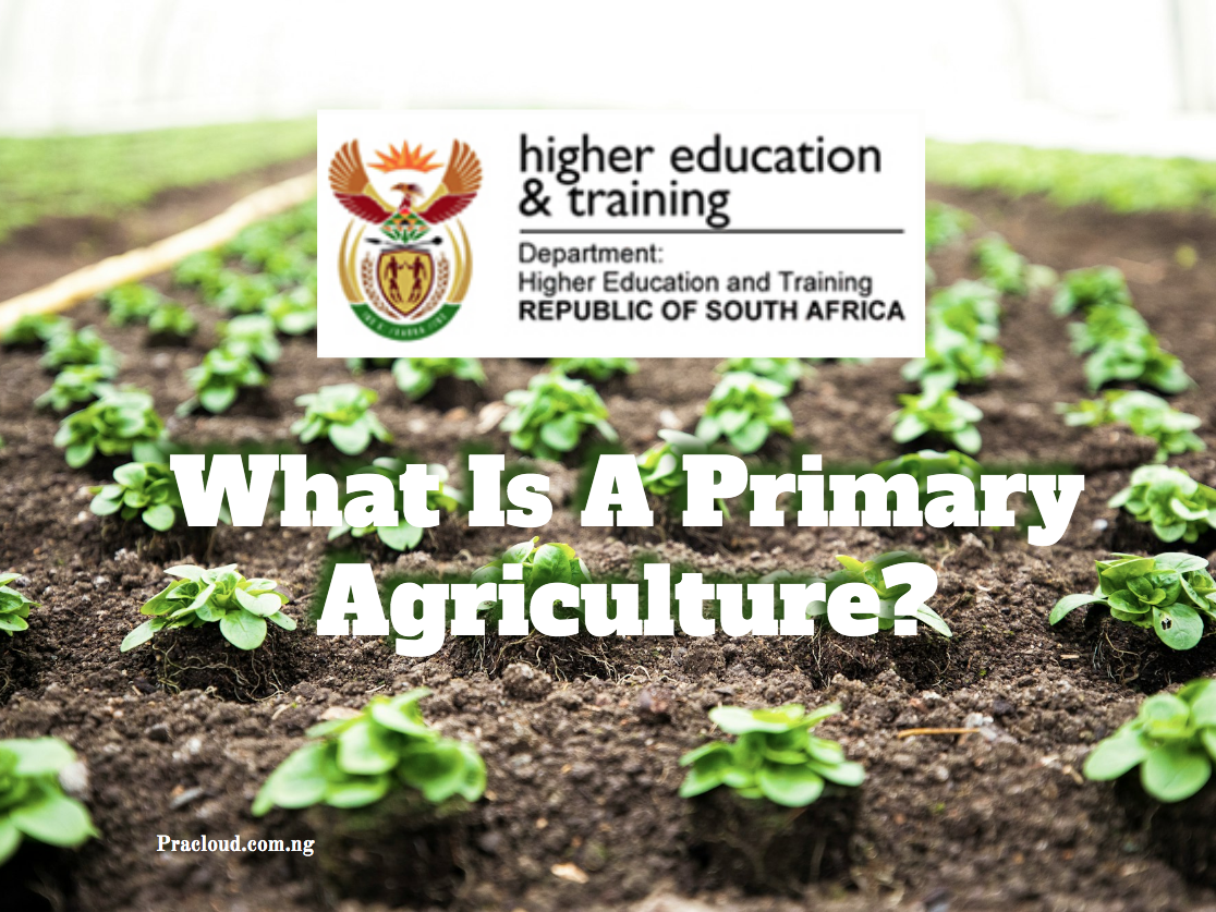 What Is A Primary Agriculture?